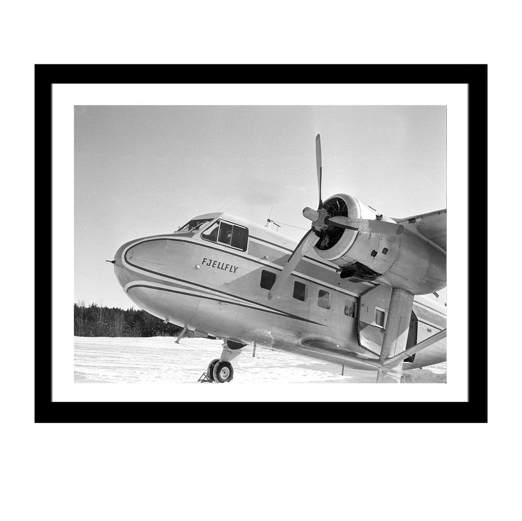 Glass picture w/frame fjellfly Homefactory Bilde