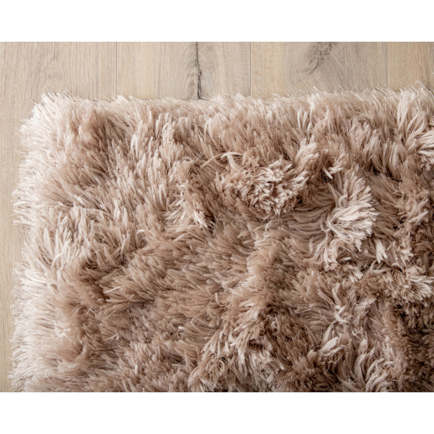 Grace Carpet Venture Design Teppe