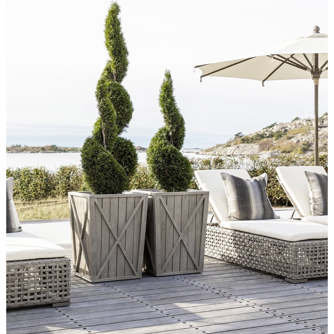 CREEK PLANT Artwood Potte