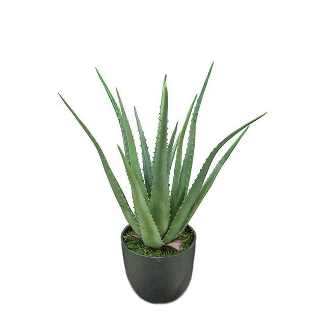 Aloe Mr Plant Kunstig plante