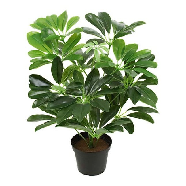 Schefflera Mr Plant Kunstig plante