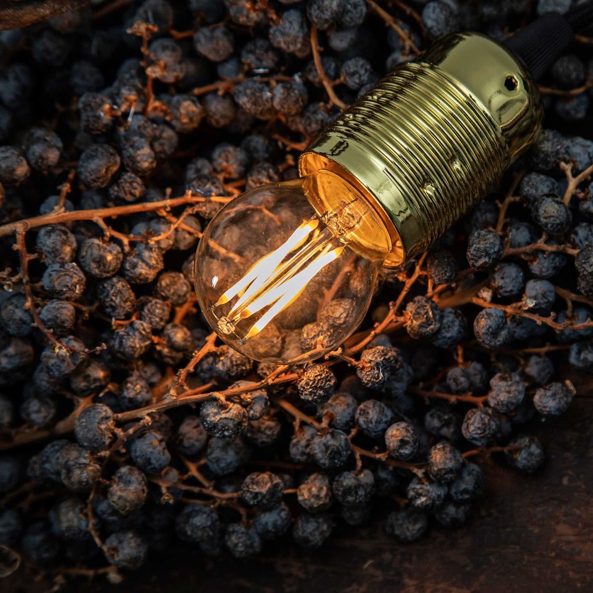 Kronepære E14 Ifö Electric AB Lyspære