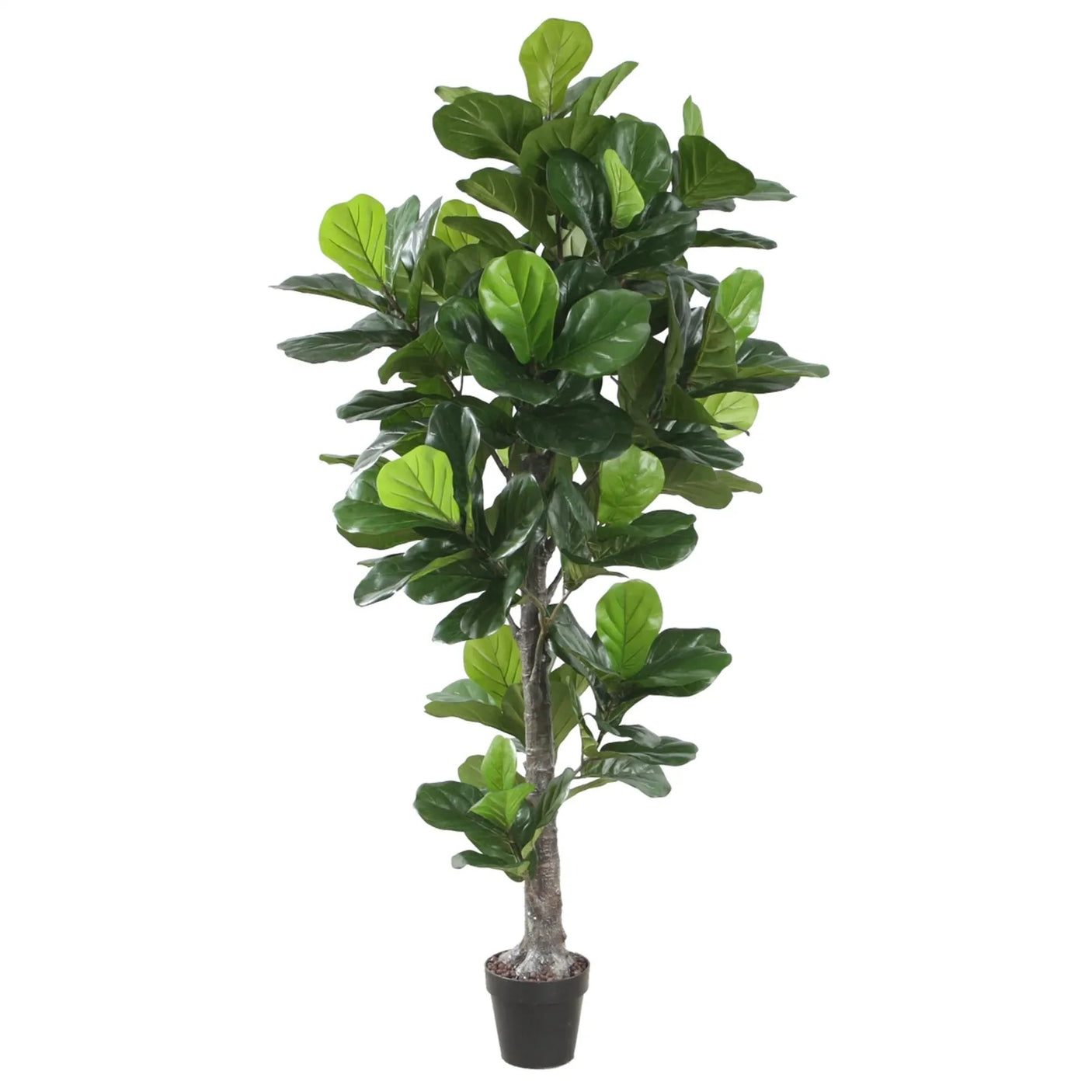 Fiddle Leaf Fig Tree Indoor 190 cm Homefactory Kunstig plante