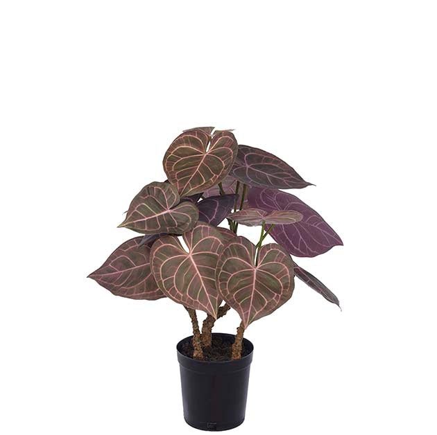 Anthurium Mr Plant Kunstig plante