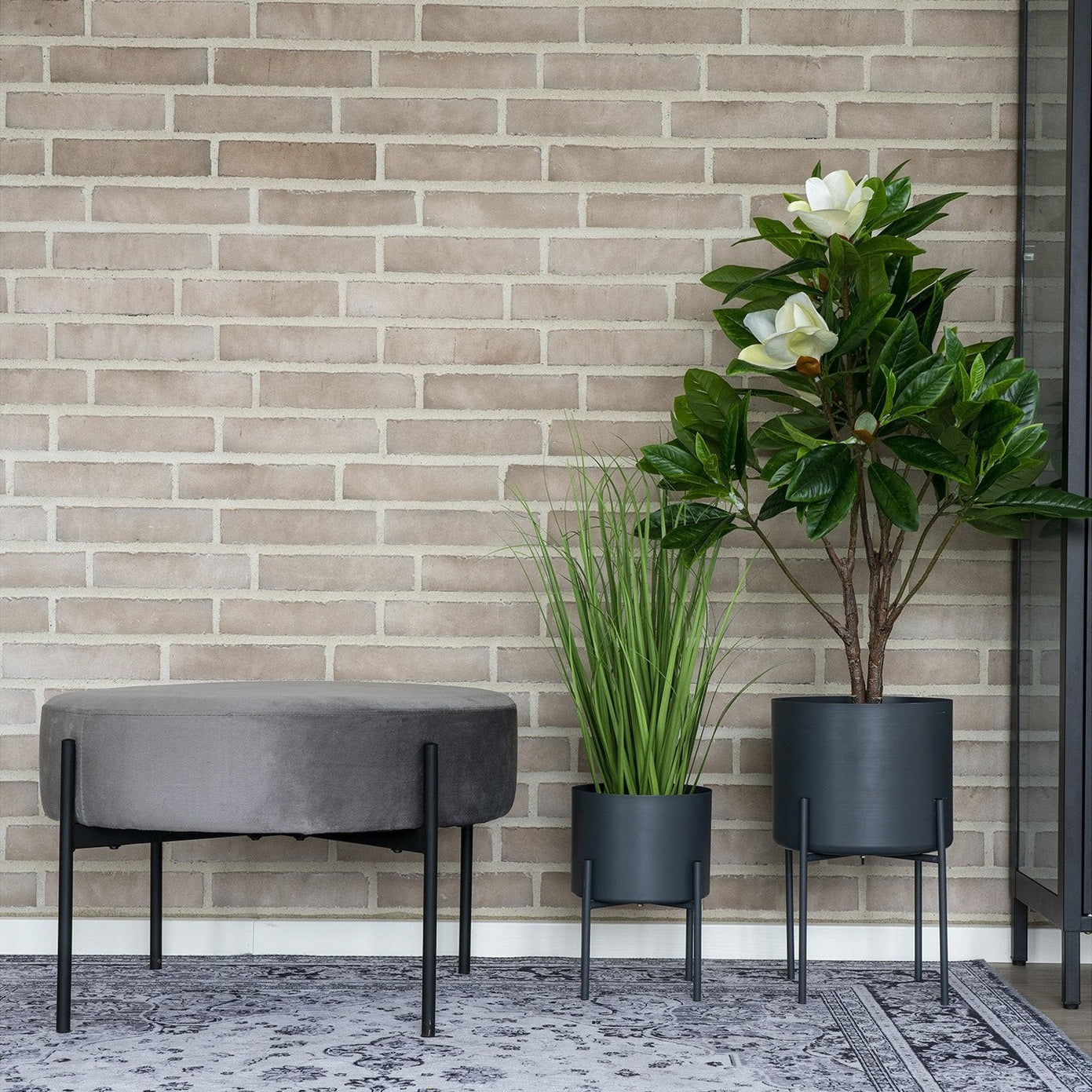 Havana Teppe 160x230 House Nordic Teppe