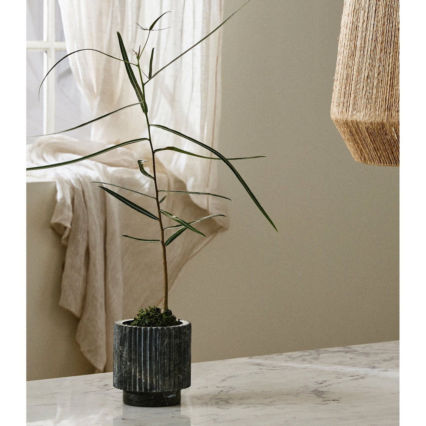 LOON urtepotter - grønn marmor Nordal INDOOR POT