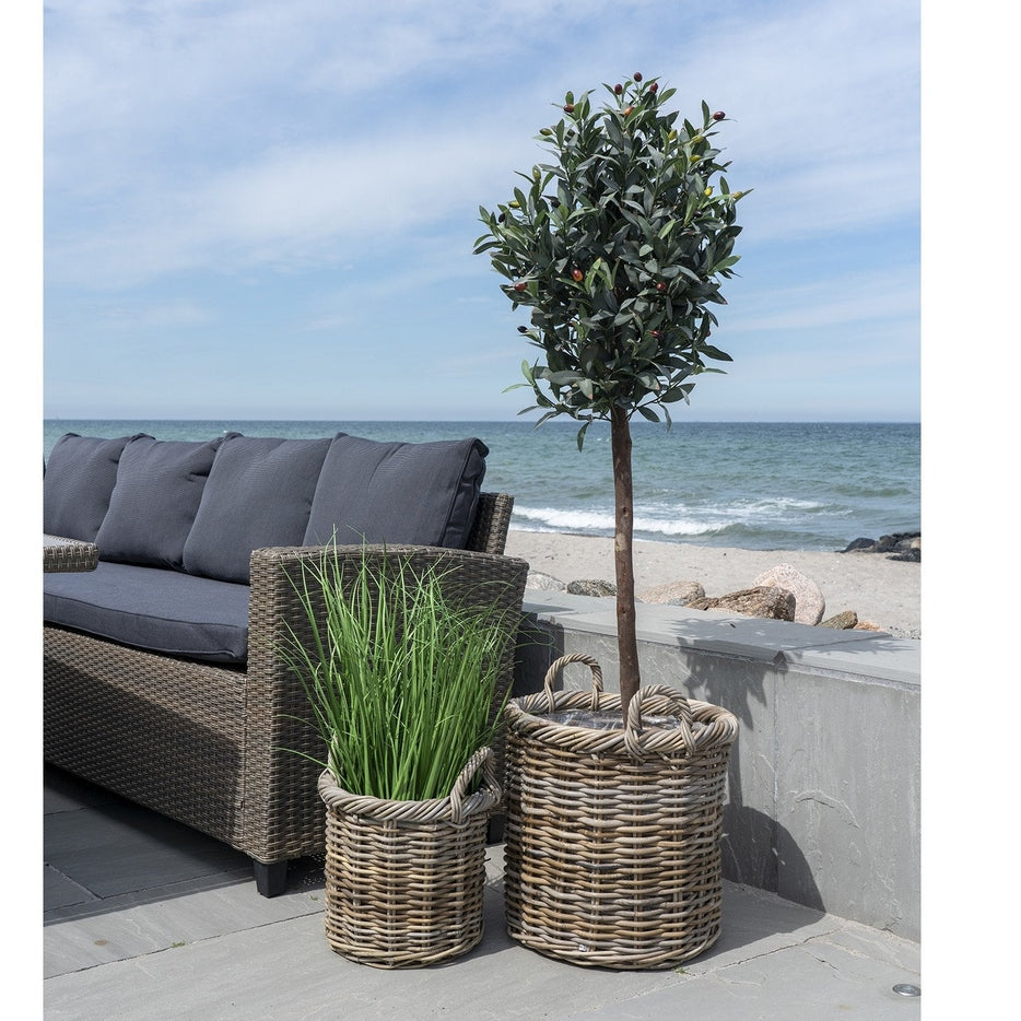 Gili Kurver House Nordic Kurv