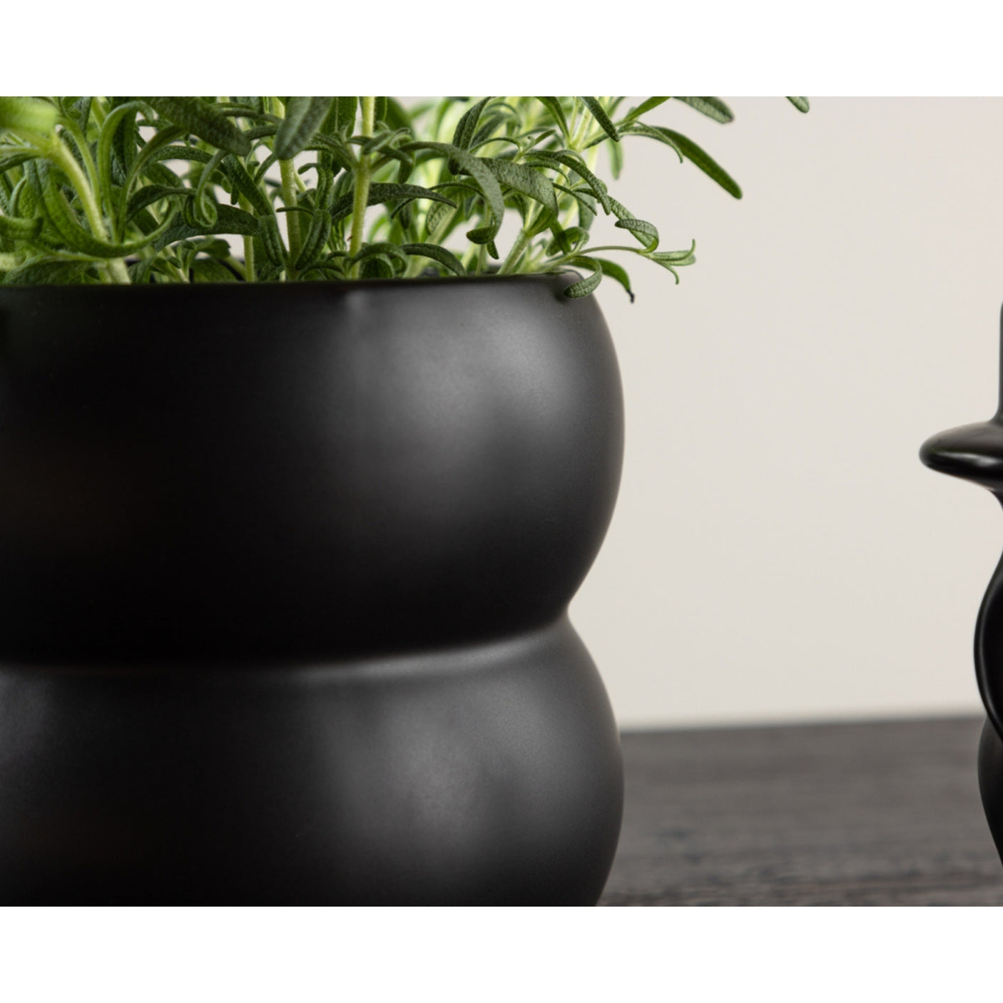 Dapne Kruka Venture Design Pynteartikler