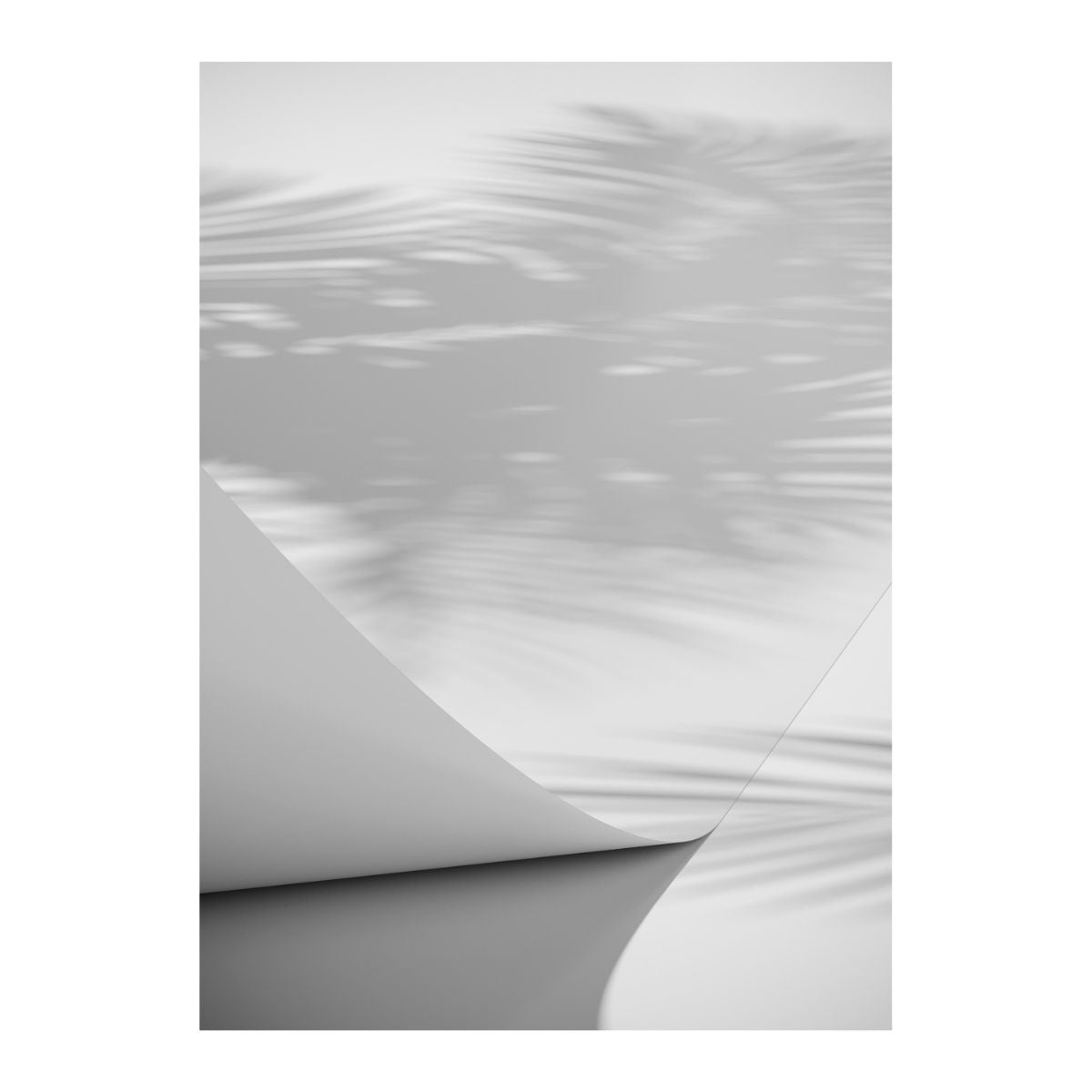 Papyrus Poster 21x30 Venture Design Pynteartikler