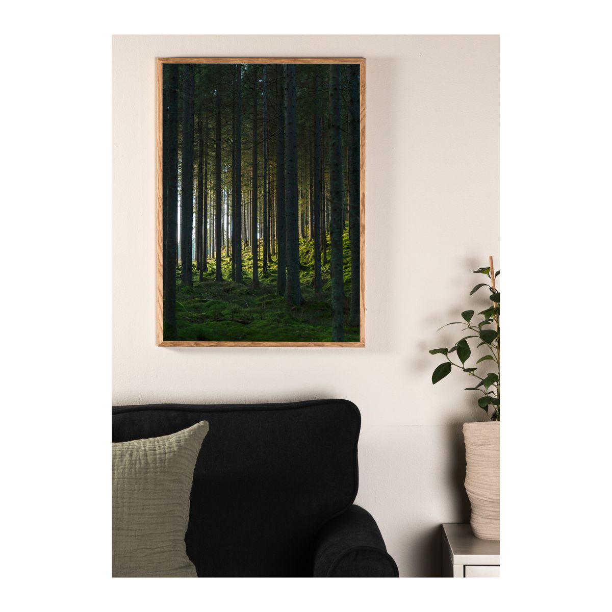 Woods Poster 30x40 Venture Design Pynteartikler
