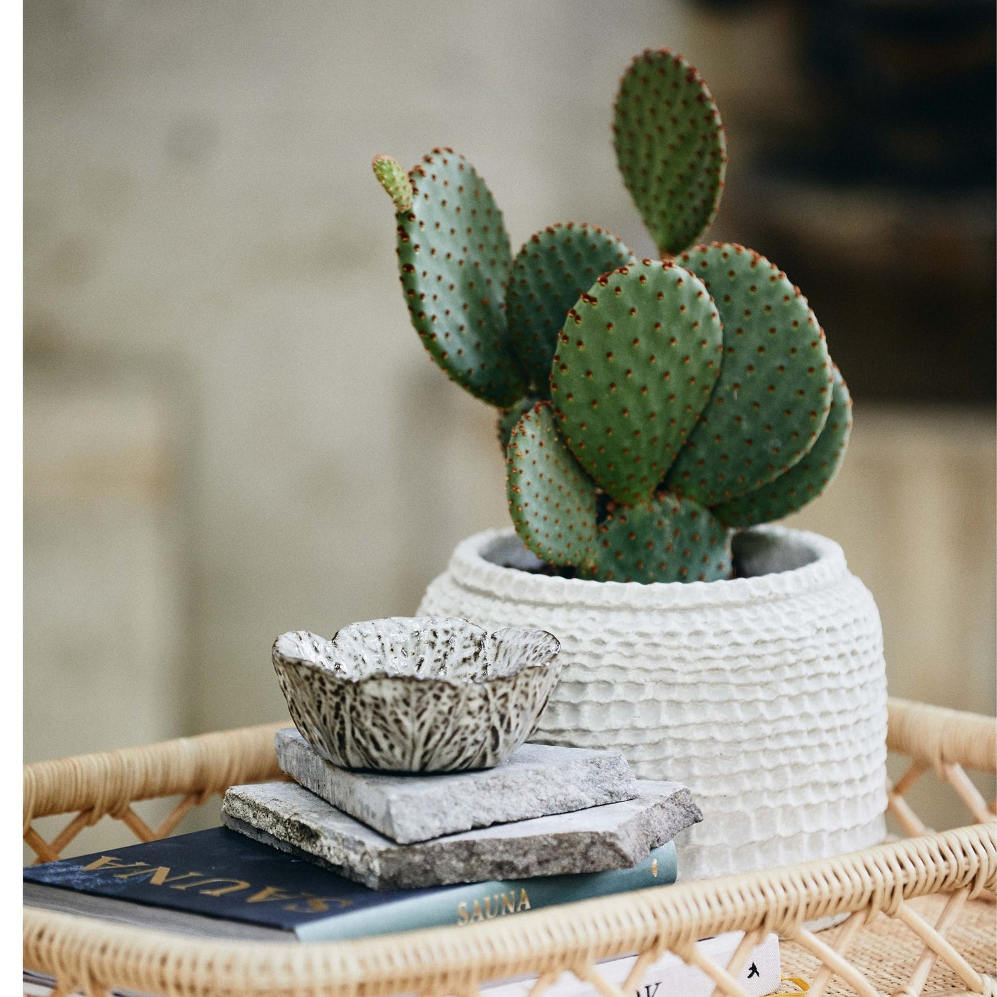 AOBA-krukke i sement, M - hvit Nordal INDOOR POT