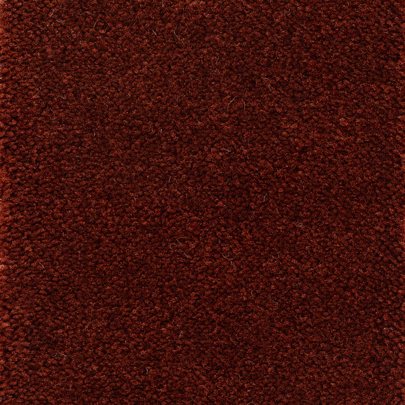 Astoria Accent Golvabia Teppe