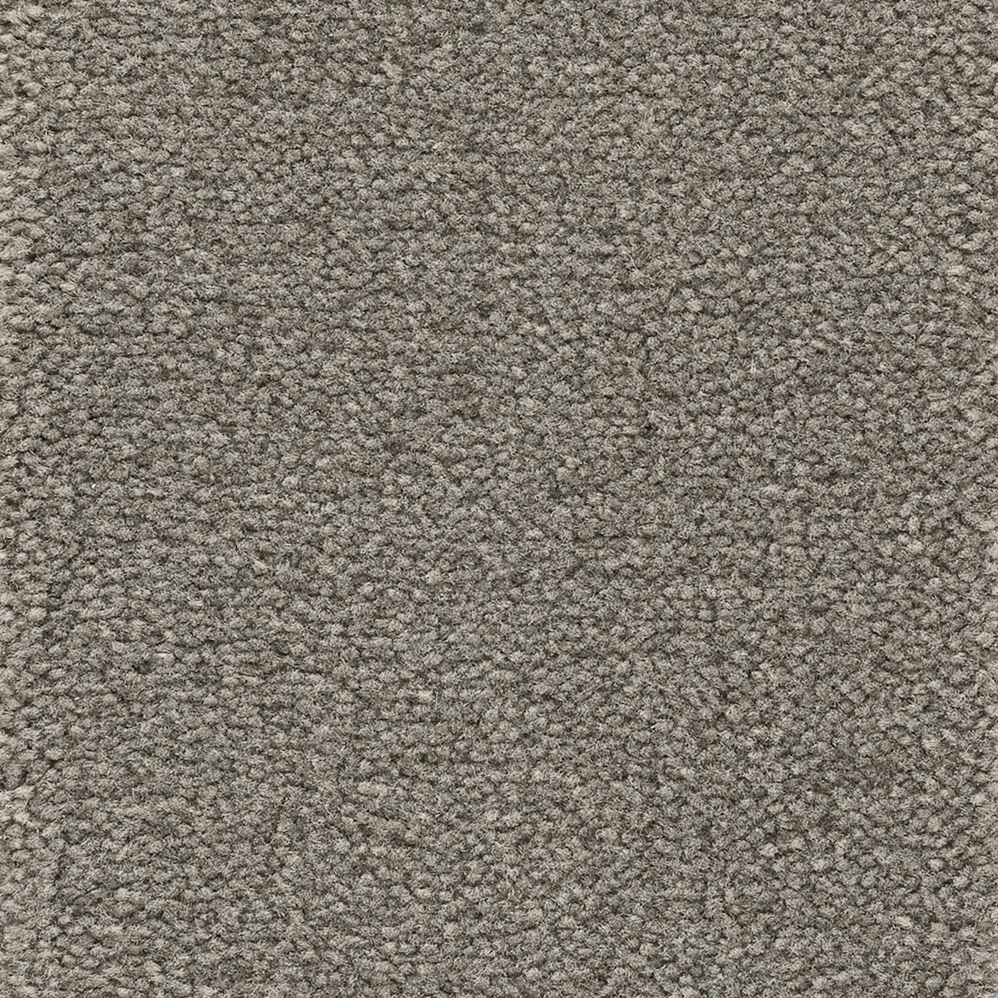 Astoria Accent Golvabia Teppe