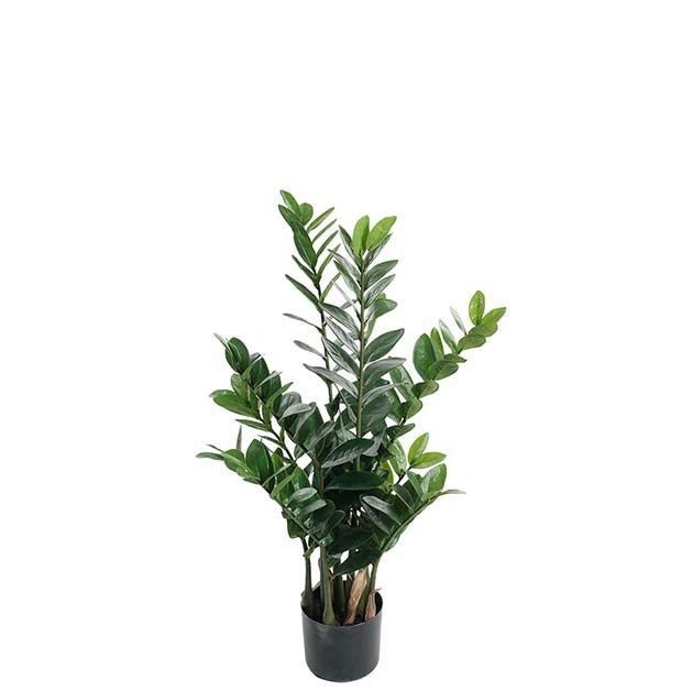 Zamifolia Mr Plant Kunstig plante