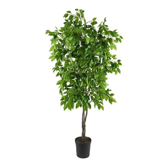 Fikus Benjamin Mr Plant Kunstig plante