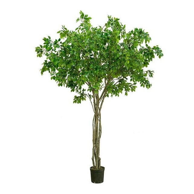 Fikus Benjamin Mr Plant Kunstig plante