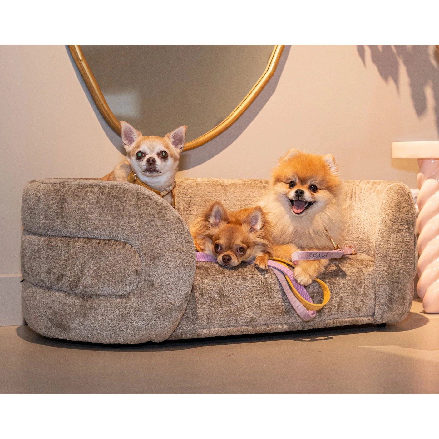 Kjæledyrseng Bingo taupe chenille Richmond Interiors Pledd