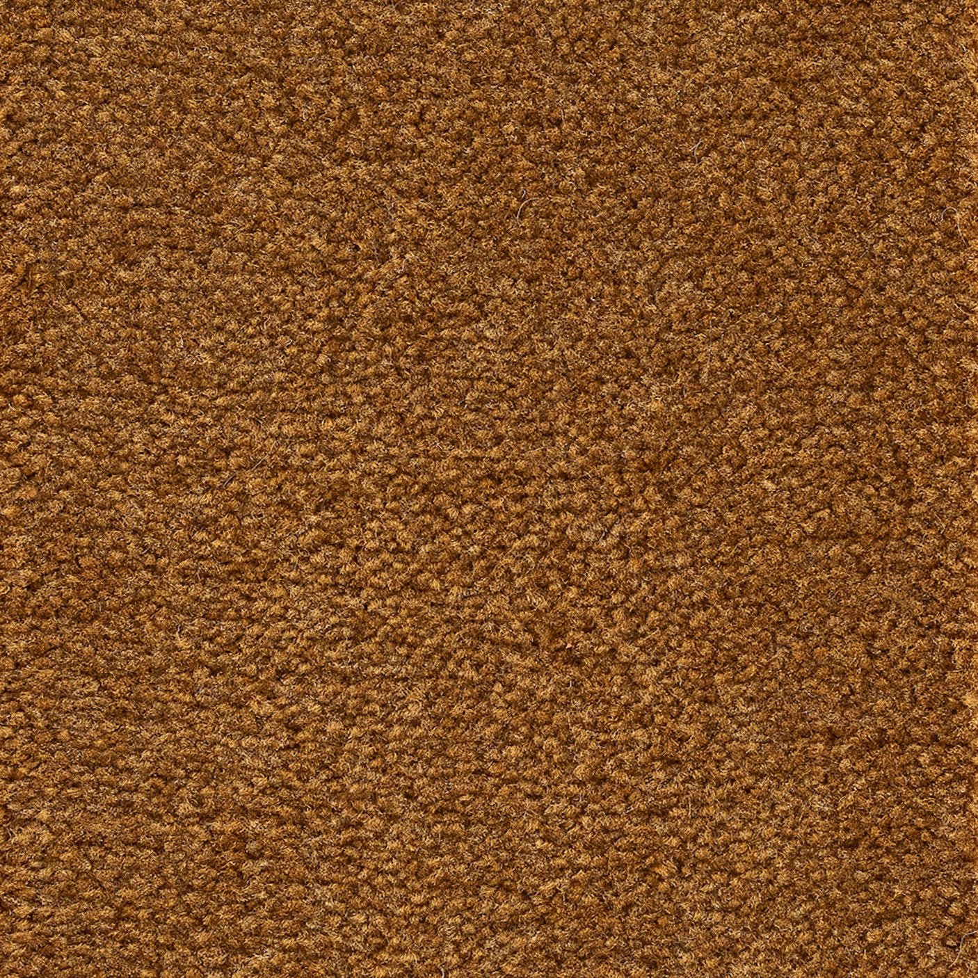 Astoria Accent Golvabia Teppe