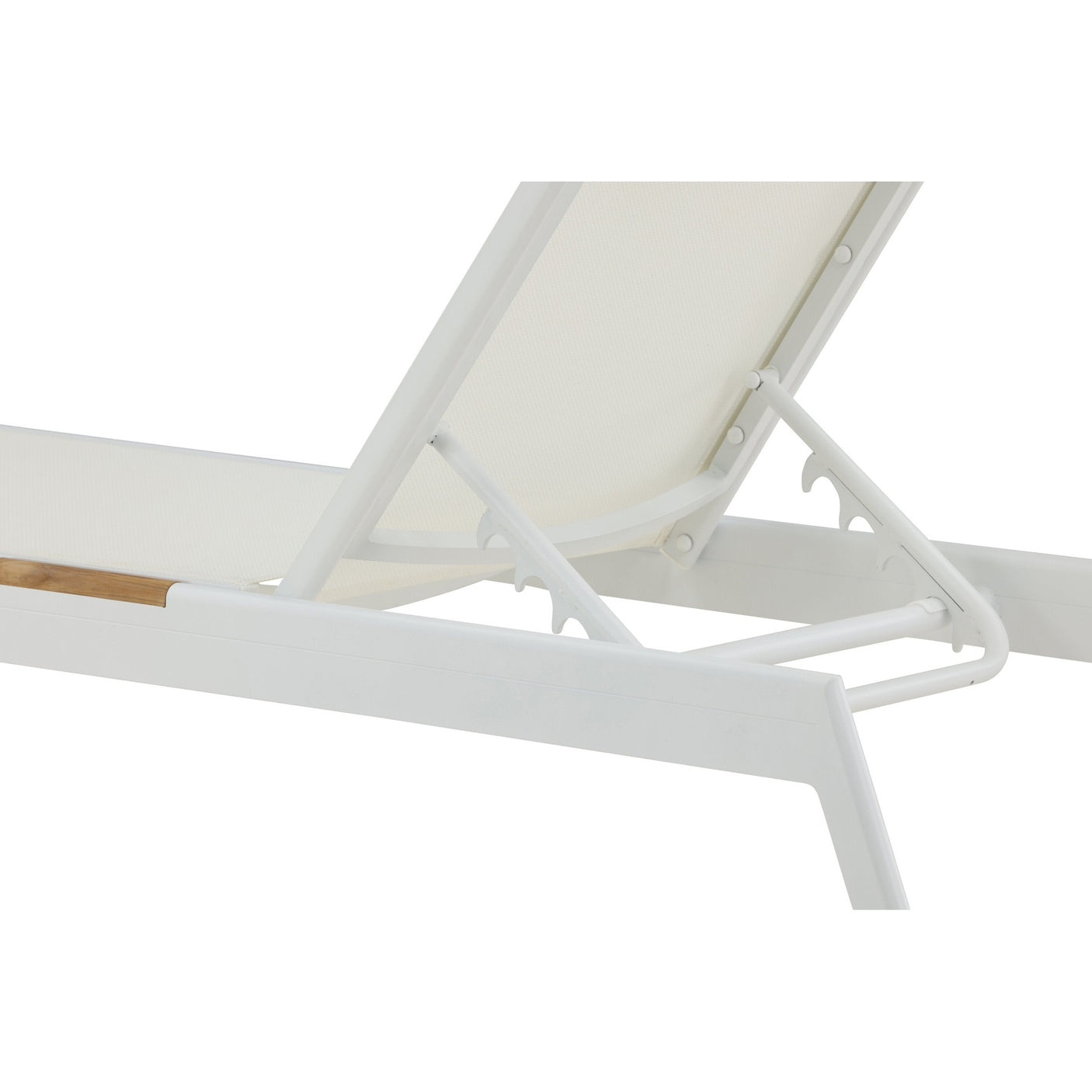 Mexico Solseng Venture Design Solseng