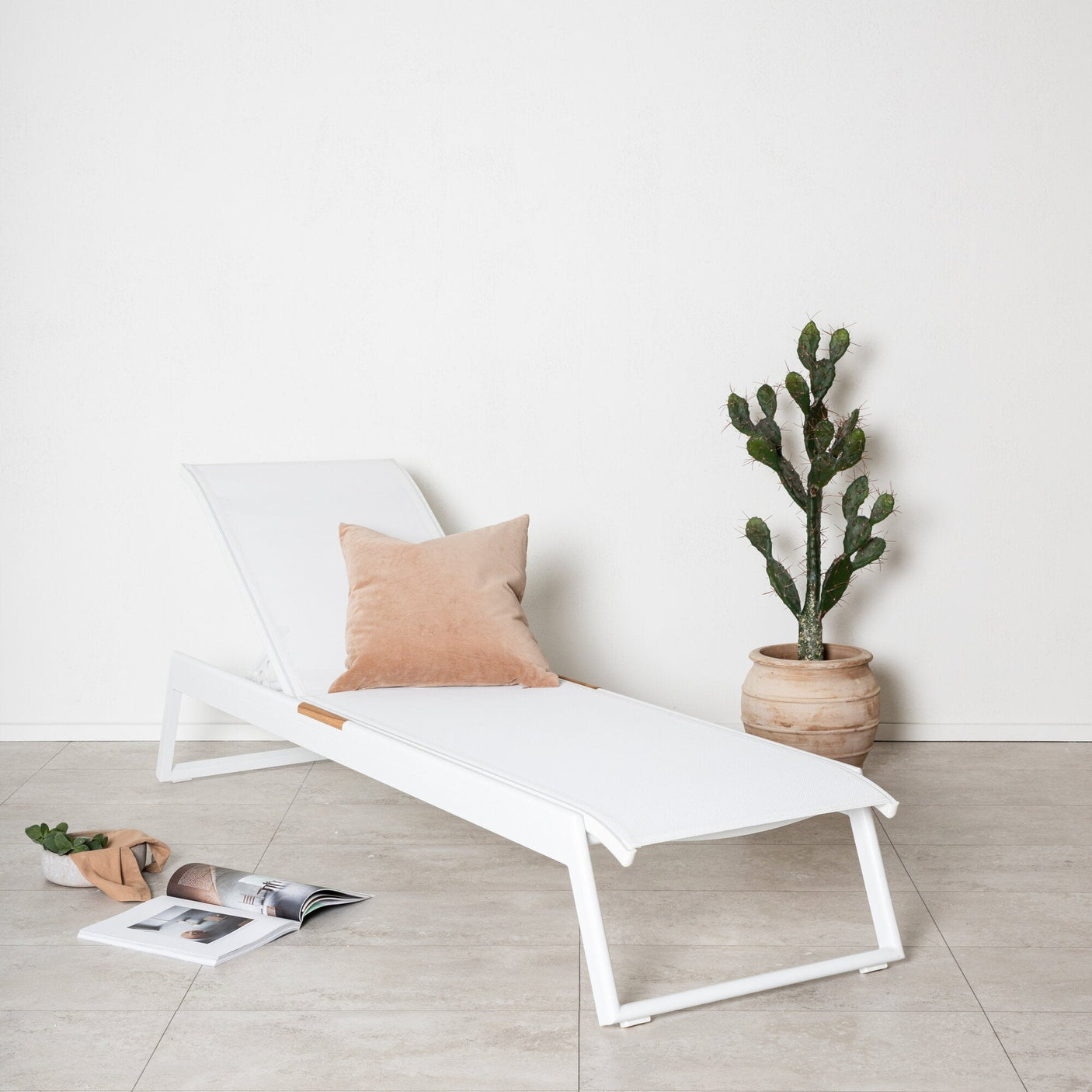 Mexico Solseng Venture Design Solseng