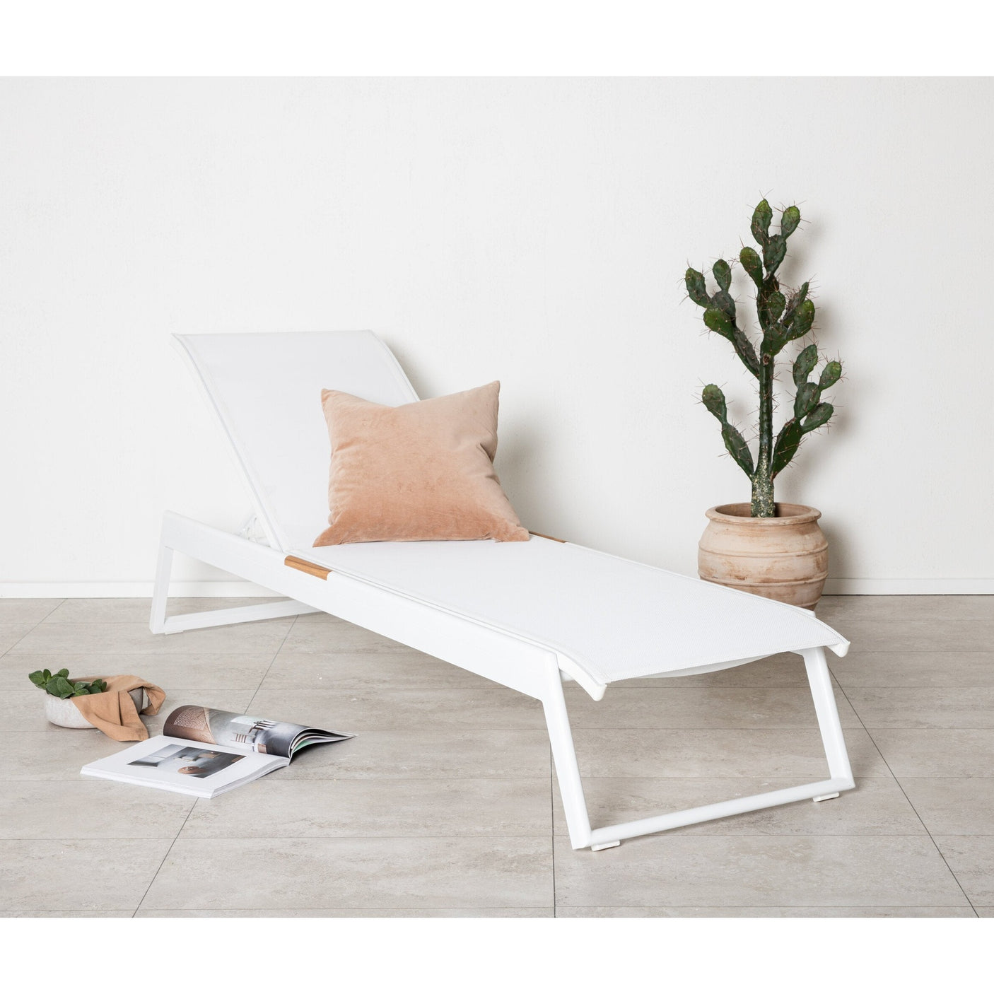 Mexico Solseng Venture Design Solseng