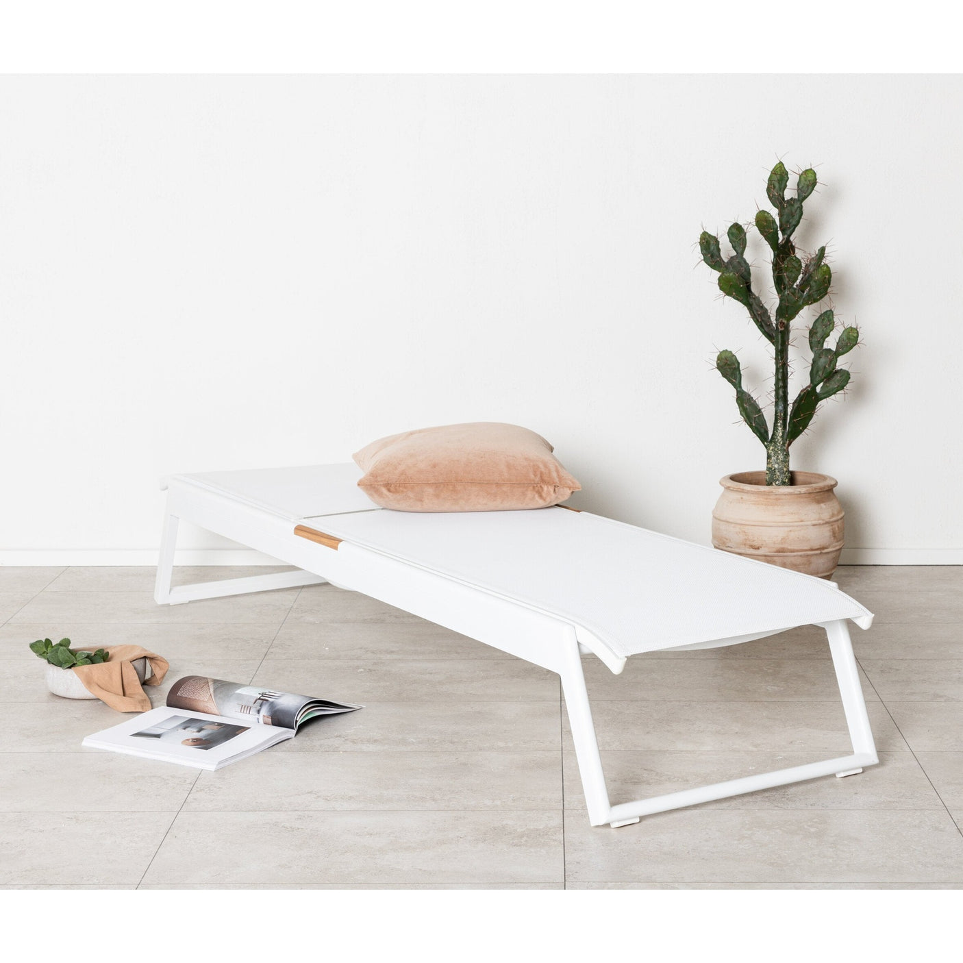 Mexico Solseng Venture Design Solseng