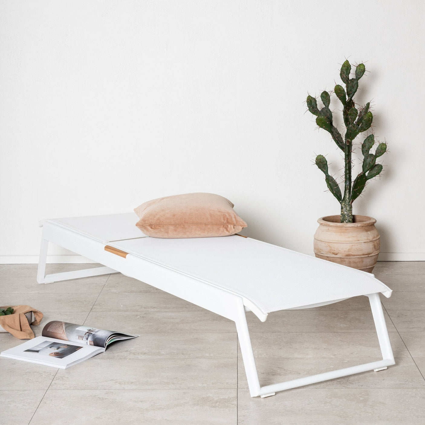 Mexico Solseng Venture Design Solseng