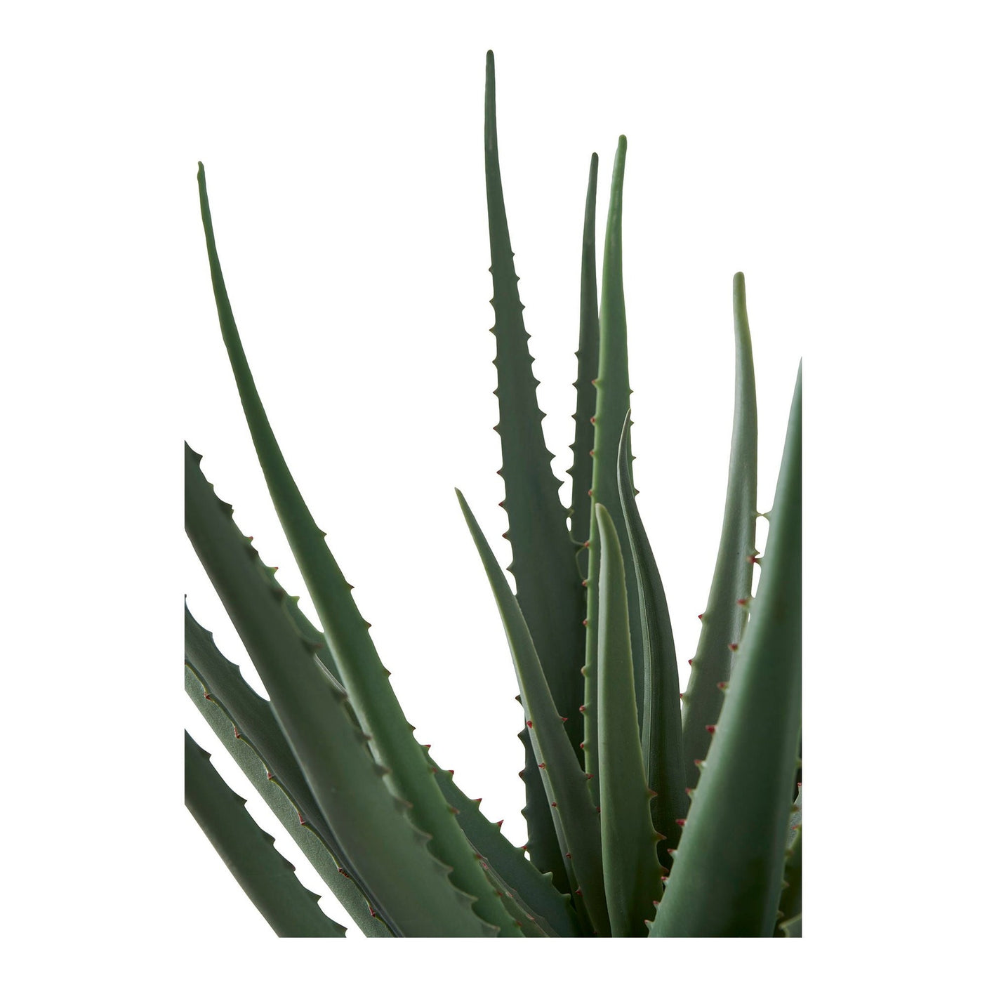 Aloe Vera House Nordic Kunstig plante