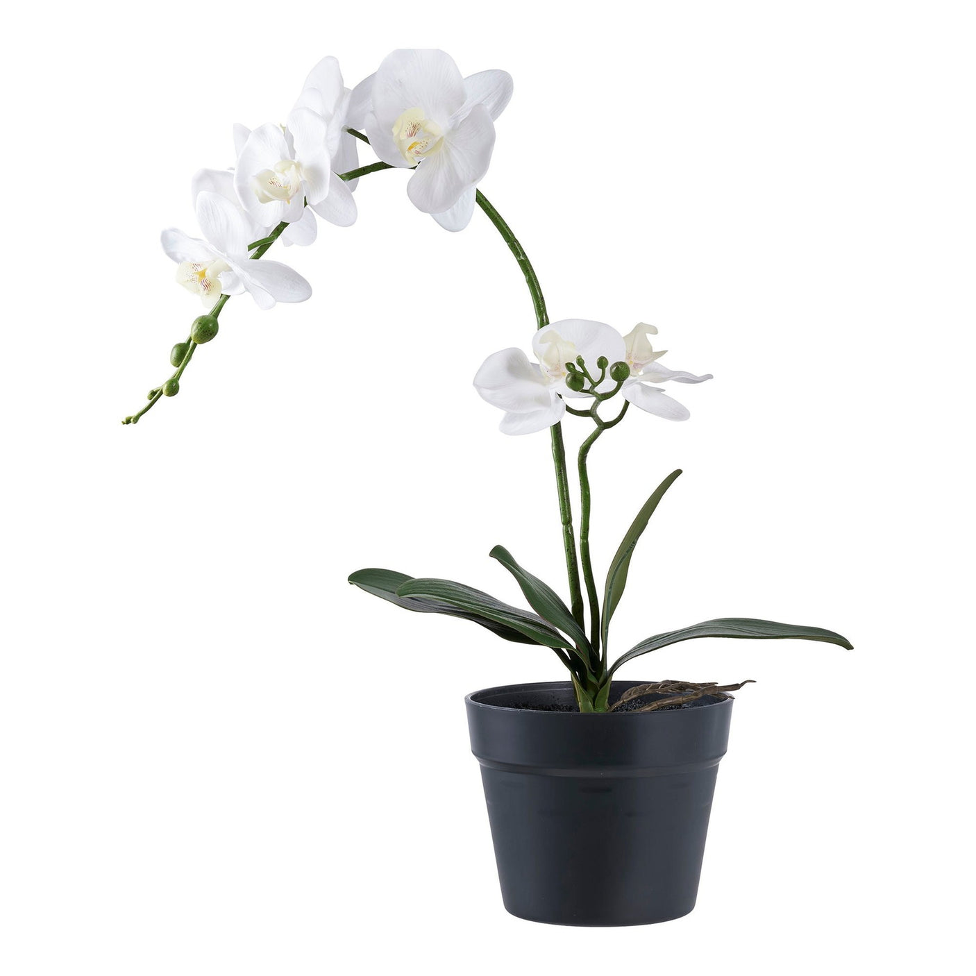 Orchide House Nordic Kunstig plante