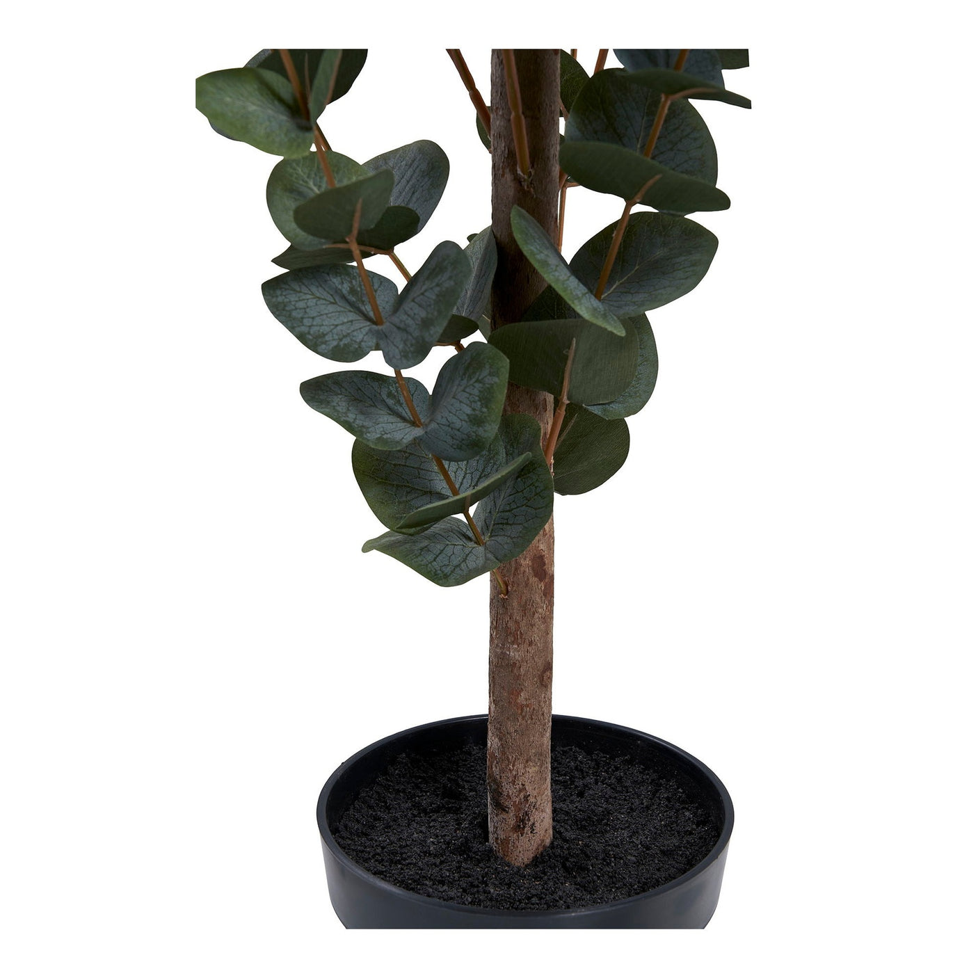 Eukalyptus tre House Nordic Kunstig plante
