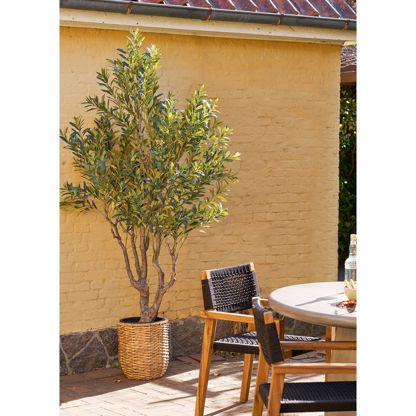 Oliven tre House Nordic Trær og busker