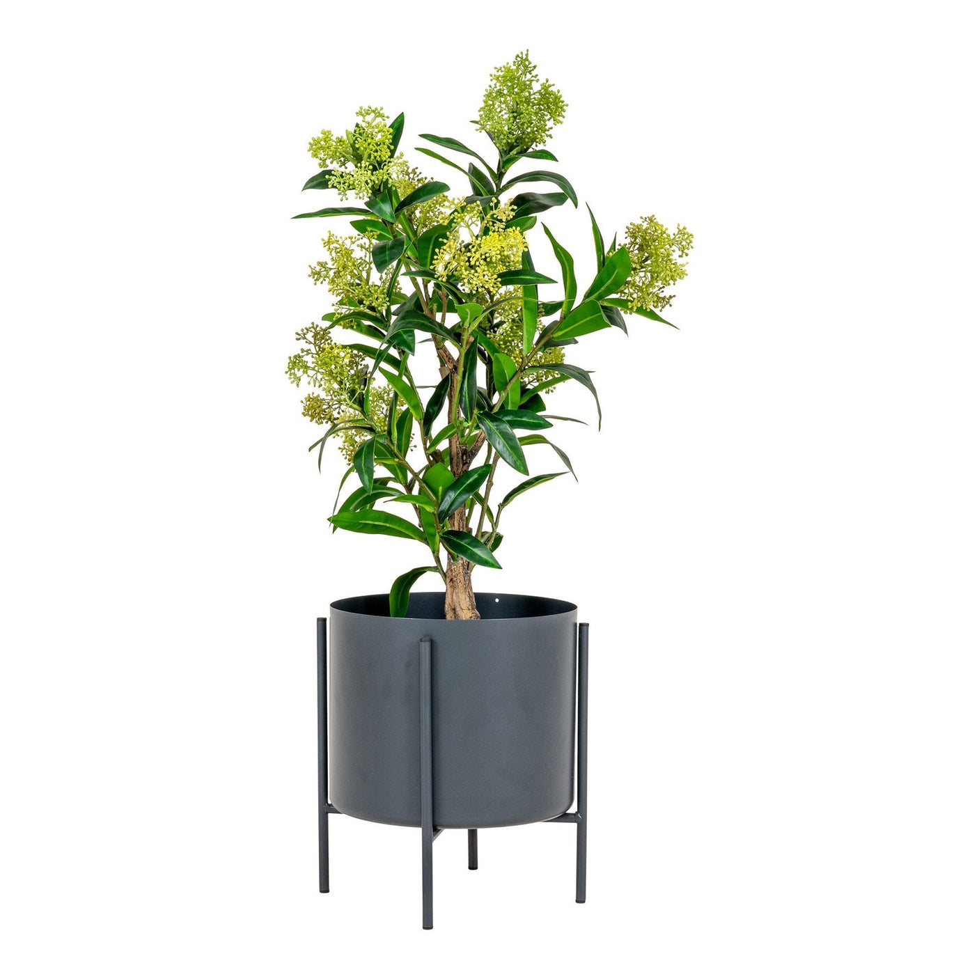 Skimmia Tre House Nordic Kunstig plante