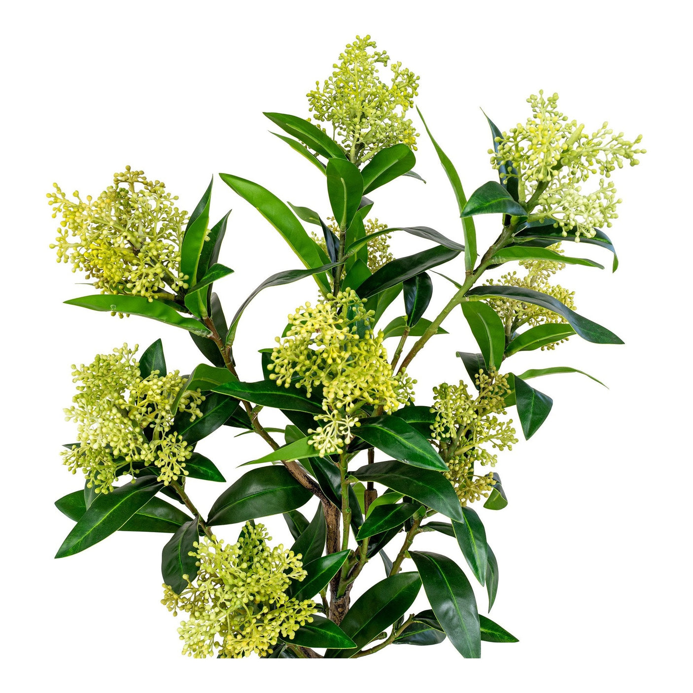 Skimmia Tre House Nordic Kunstig plante