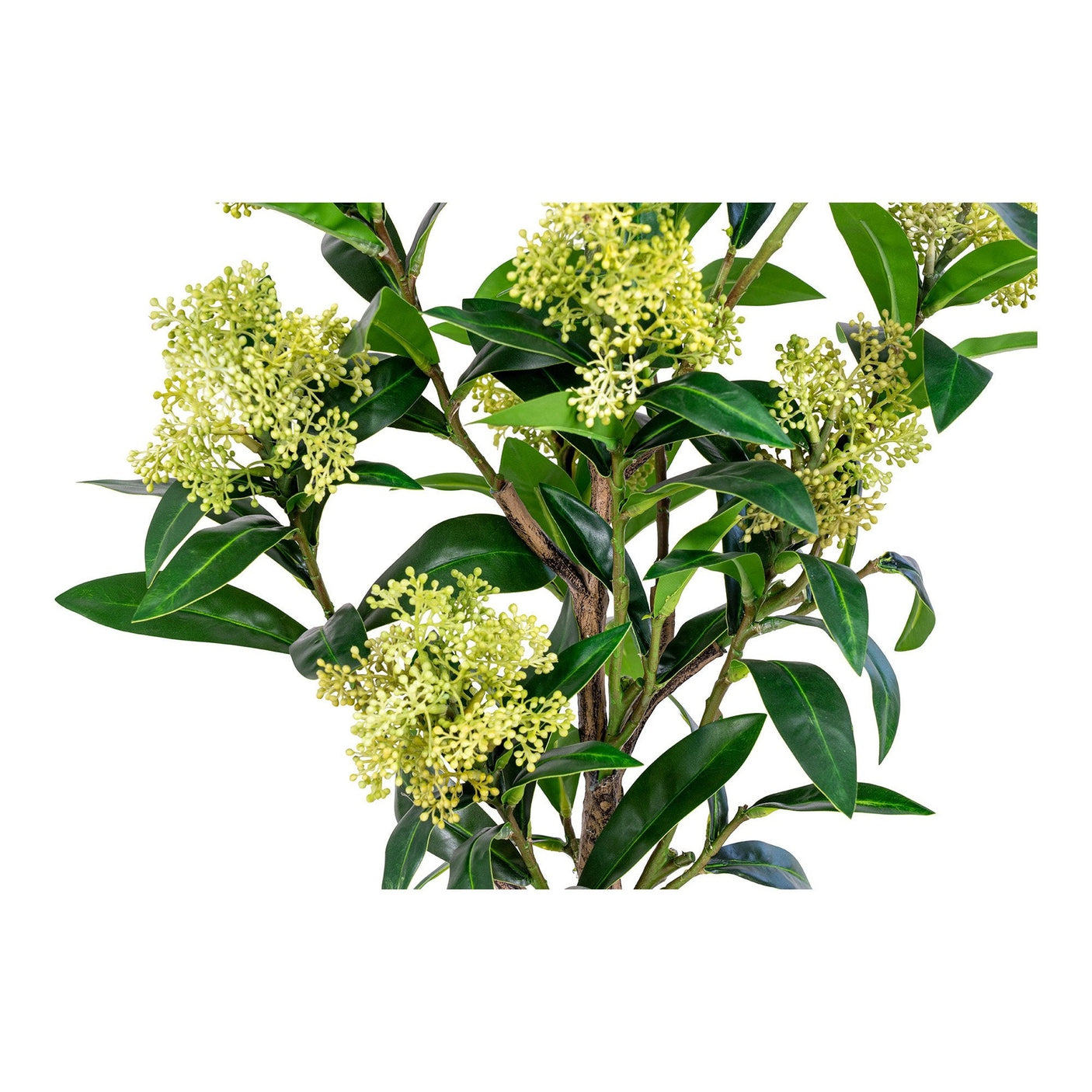 Skimmia Tre House Nordic Kunstig plante