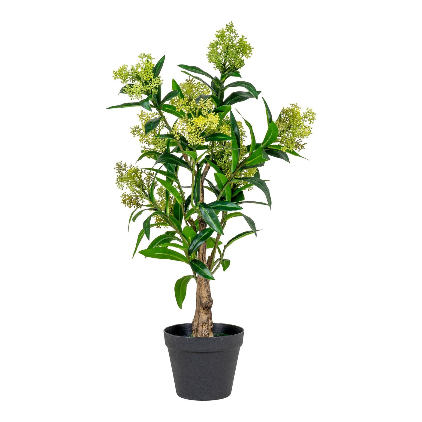 Skimmia Tre House Nordic Kunstig plante