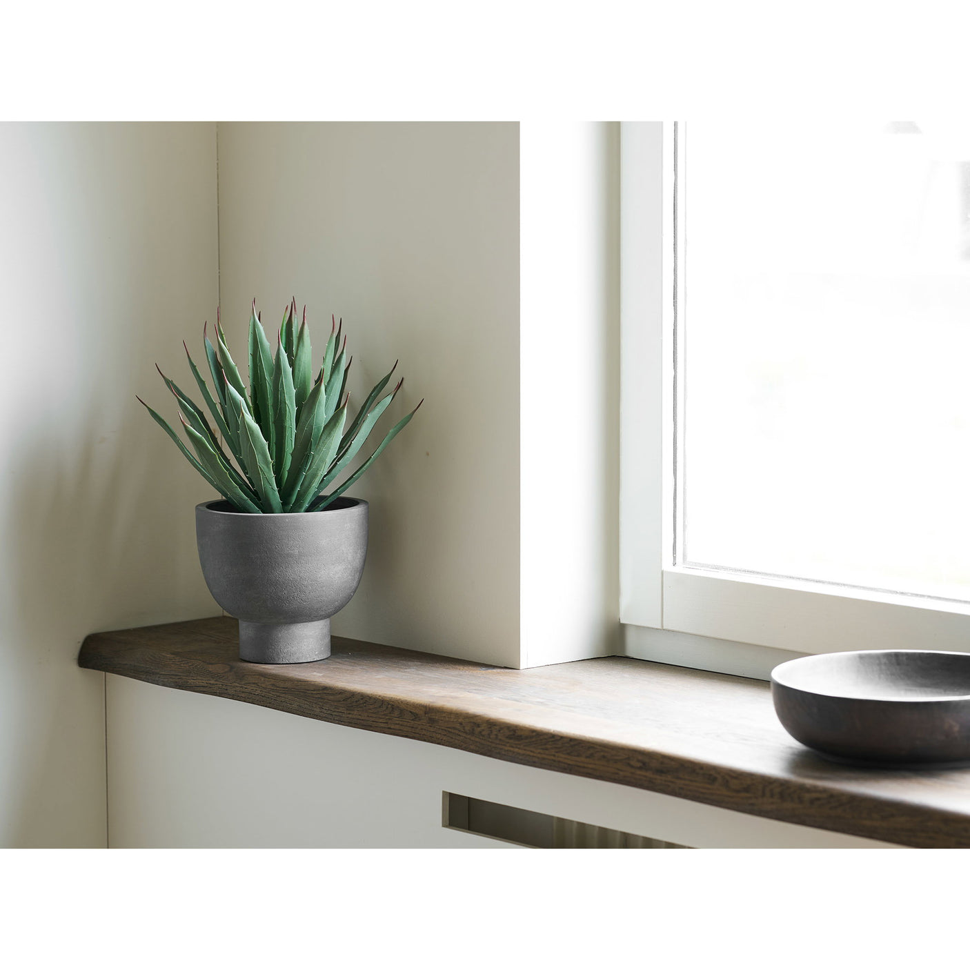 Agave Plante House Nordic Planter