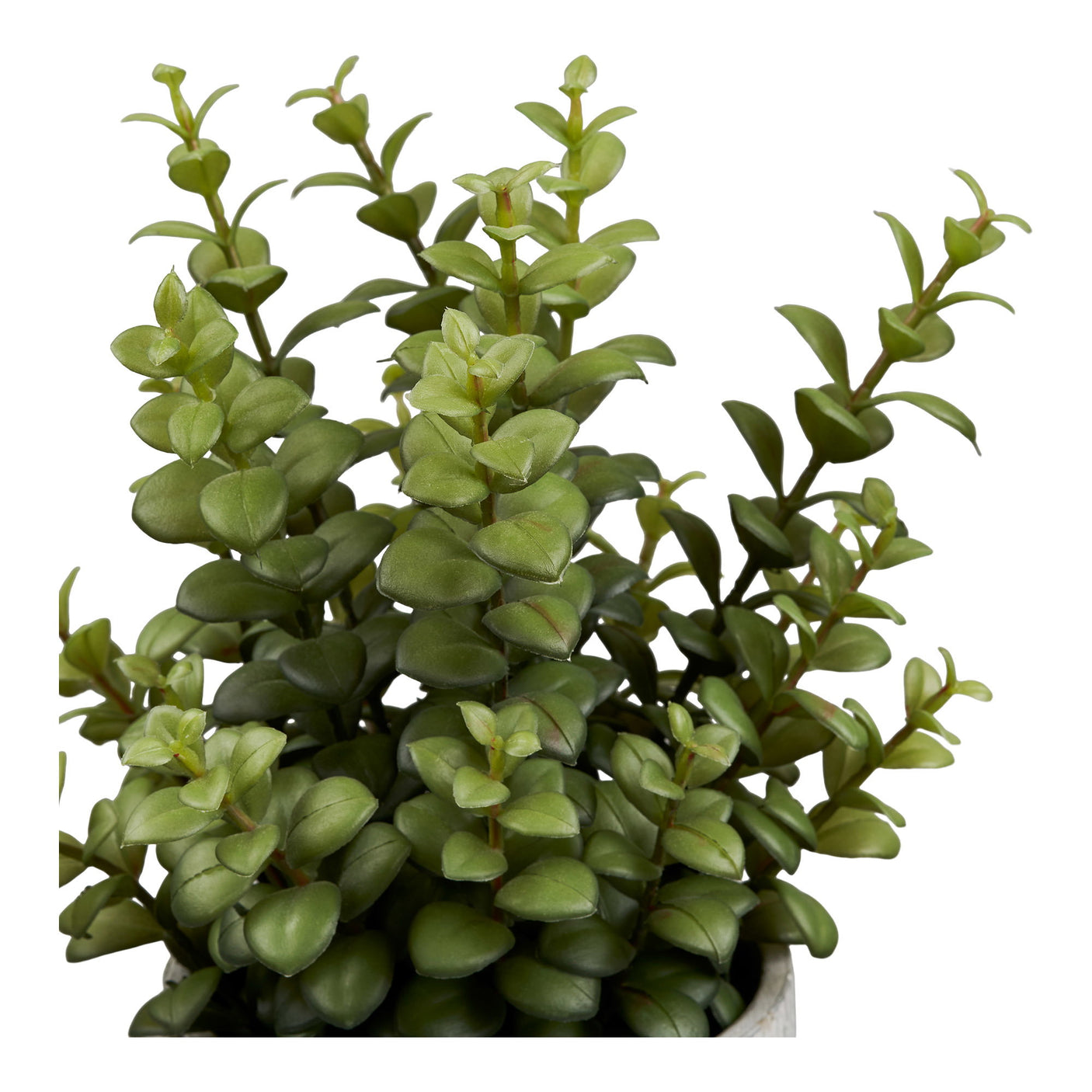 Saftig House Nordic Planter