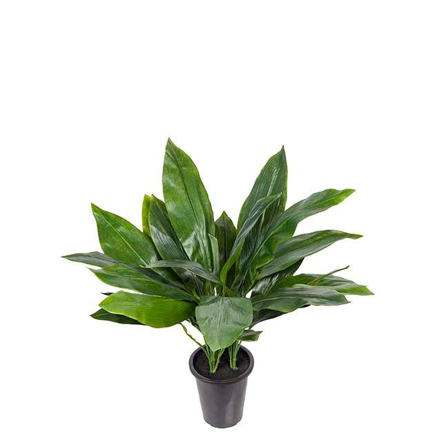 Aspidistra Mr Plant Kunstig plante