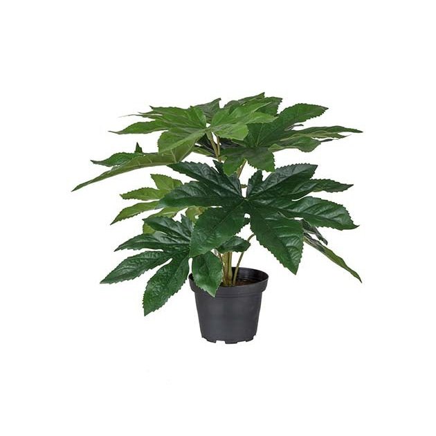 Aralia Mr Plant Kunstig plante