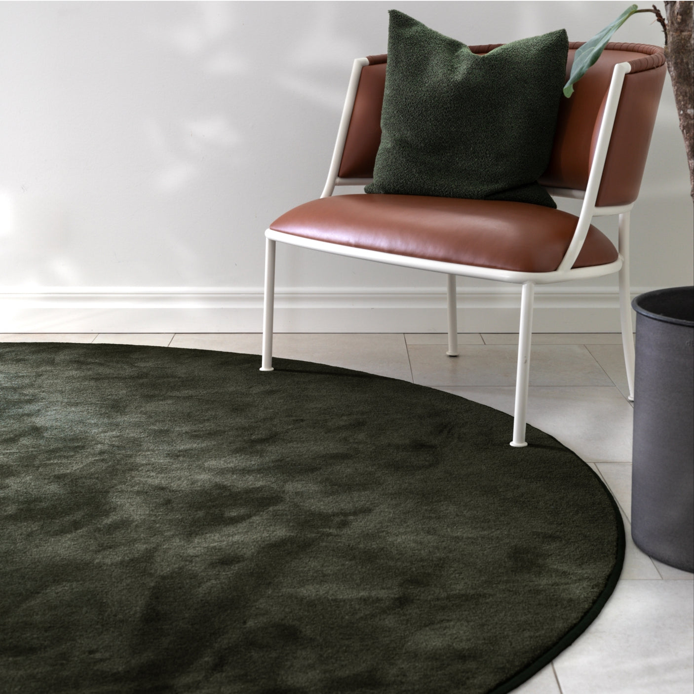Astoria Accent Golvabia Teppe