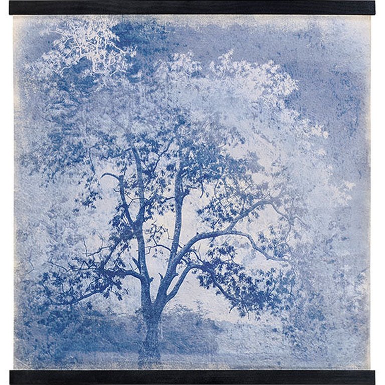 ALBERO BLÅ TAVLE 100x100 cm Artwood Tavlor