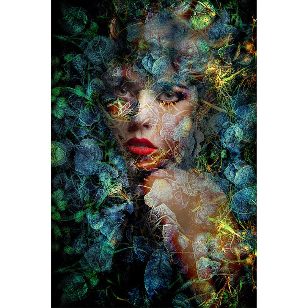 BLUE AUTUMN Artwood Bilde