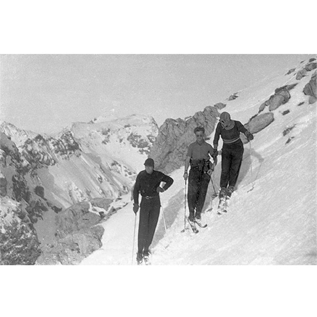 SKIING Artwood Bilde