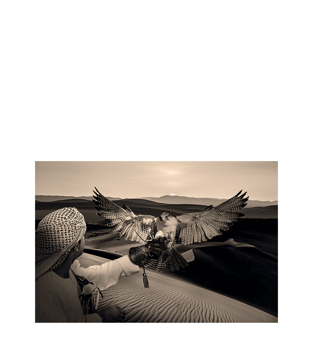 ARABIAN HUNT Artwood Bilde