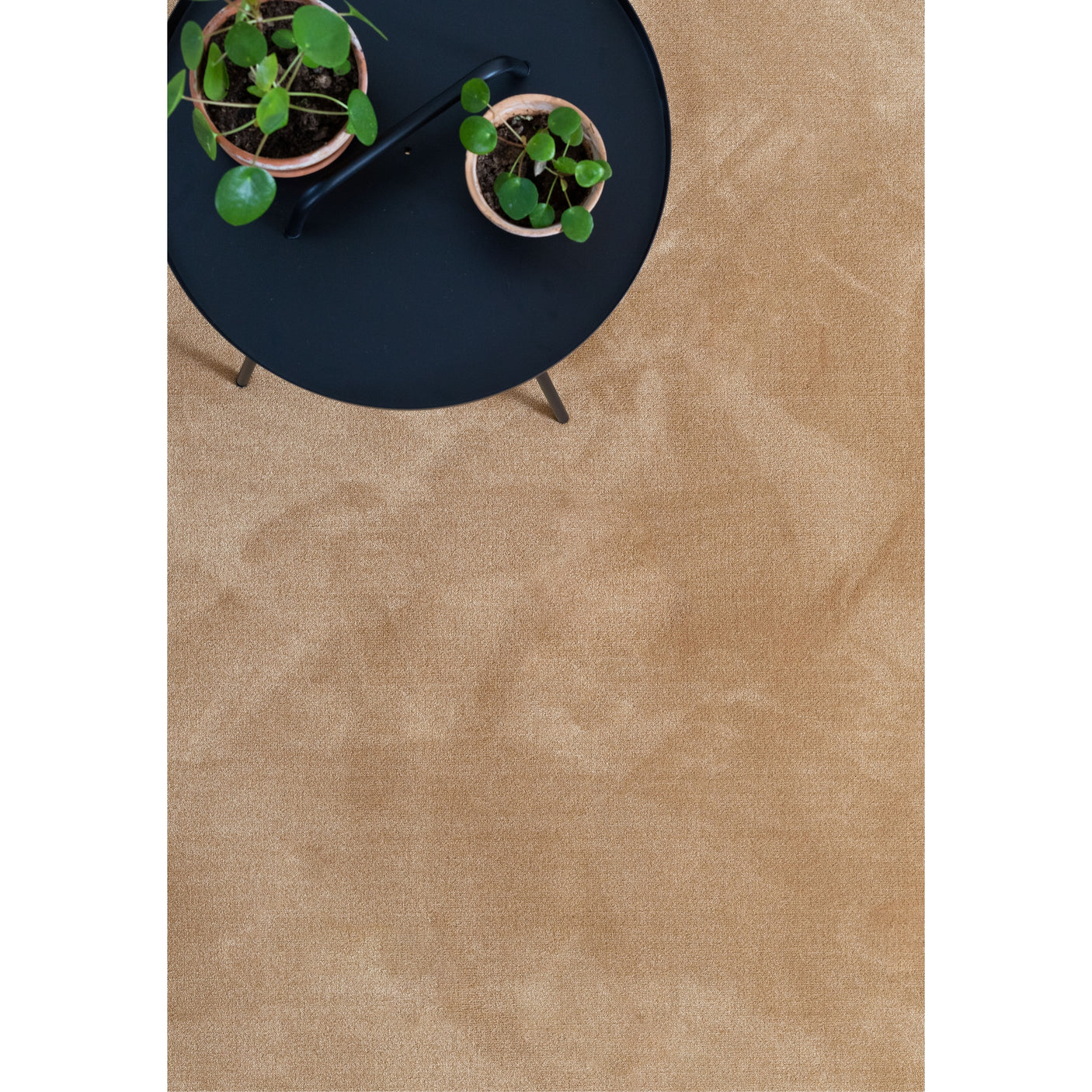 Nellie Golvabia Teppe