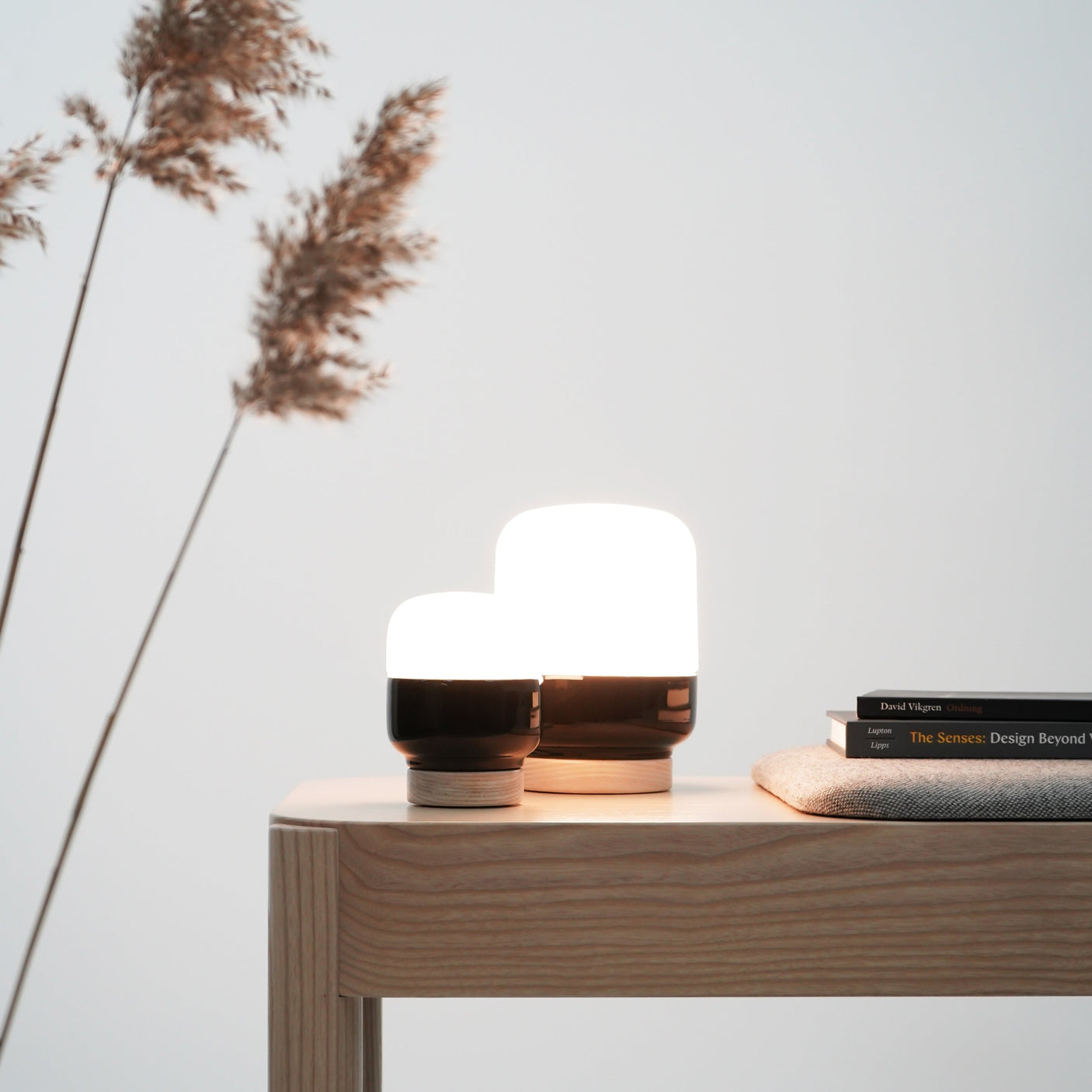 Ohm 100/100 Taklampe/Vegglampe LED IP44 Ifö Electric AB Vegglampe