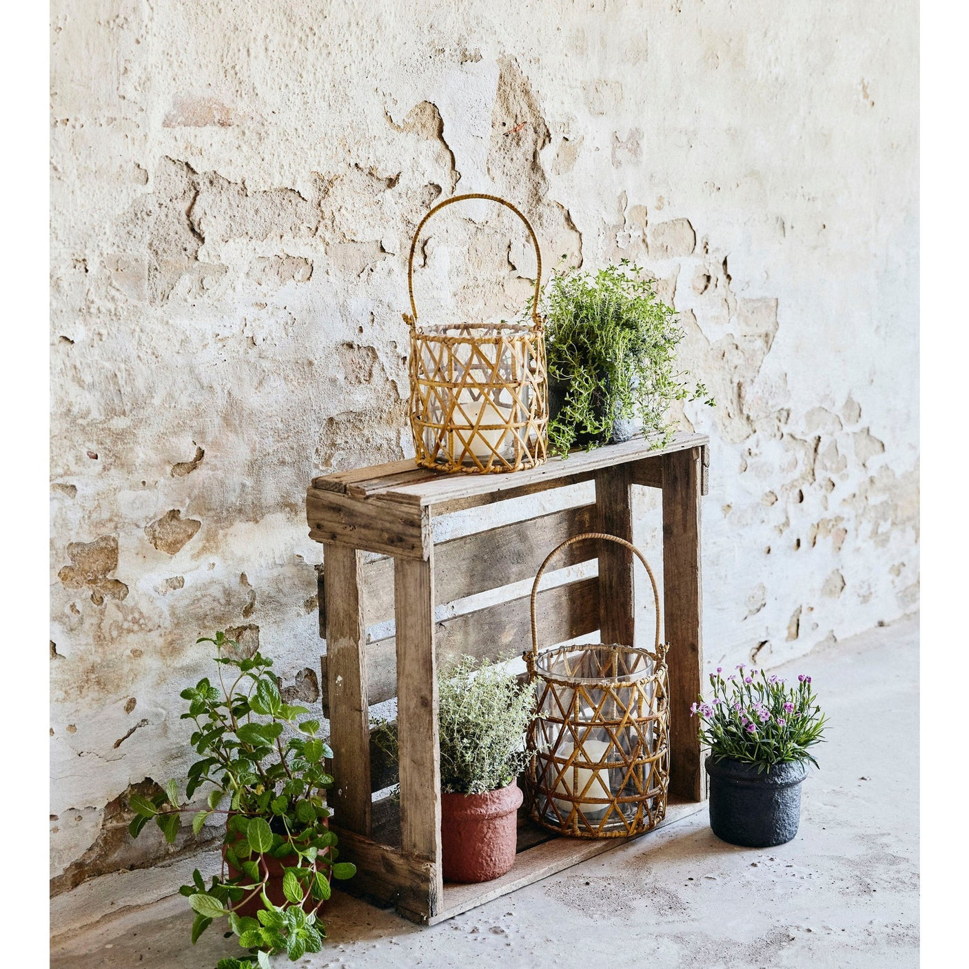 GHIZO sukkerrør lanterne - store - h22 cm - natur Nordal LANTERNER