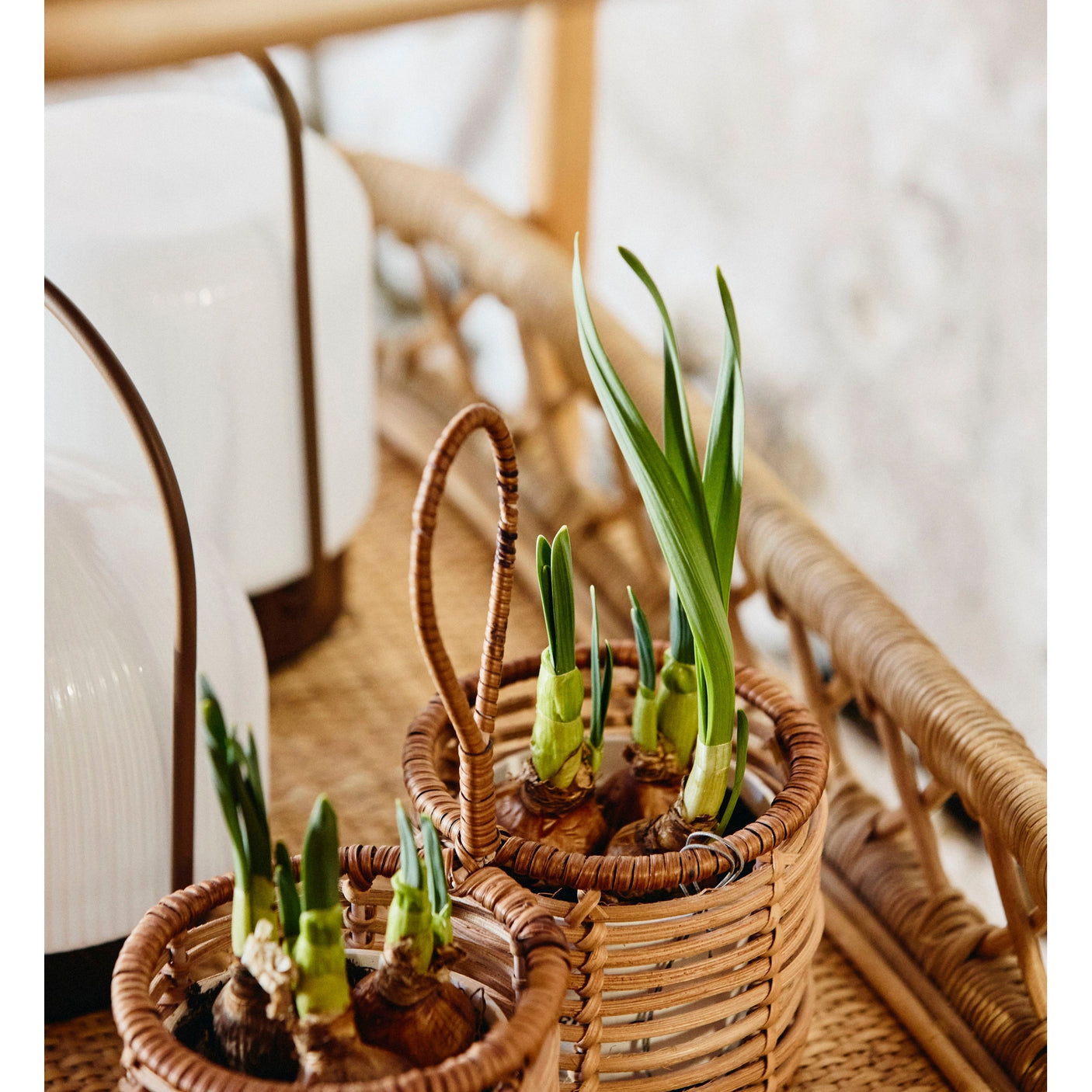 LIRI rullebord i rattan - 62x42 cm - natur Nordal TABLES