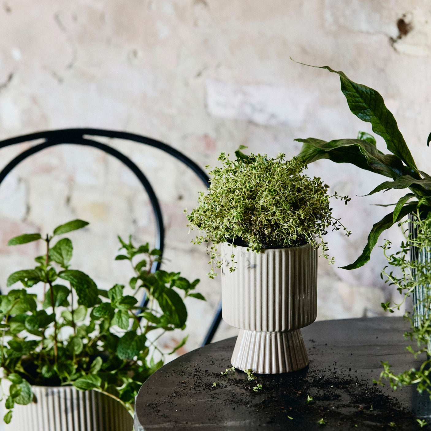 MULL gresspotter i stein - stor - ø16 cm - sand Nordal INDOOR POT