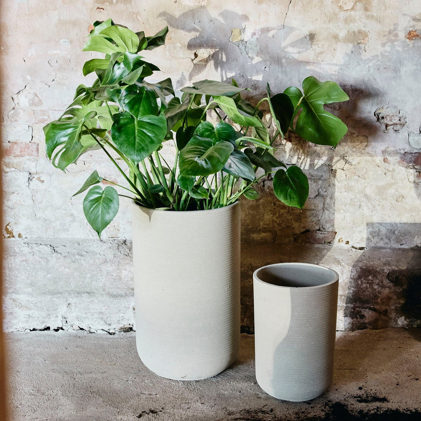 GRANITO urtepotter - 2 stykker - h60/40 cm - krem Nordal GARDEN POT